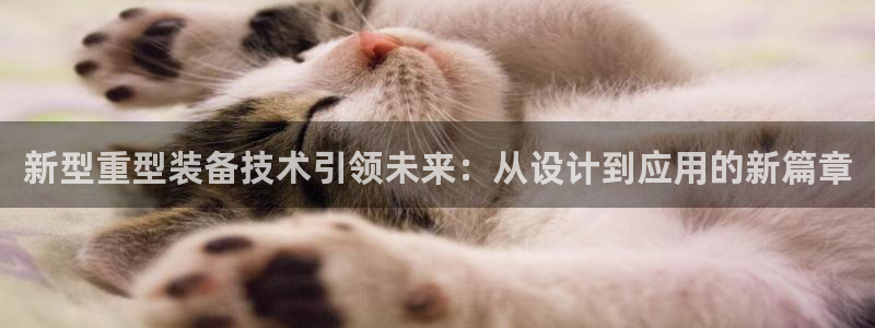 龙八国际彩金购买