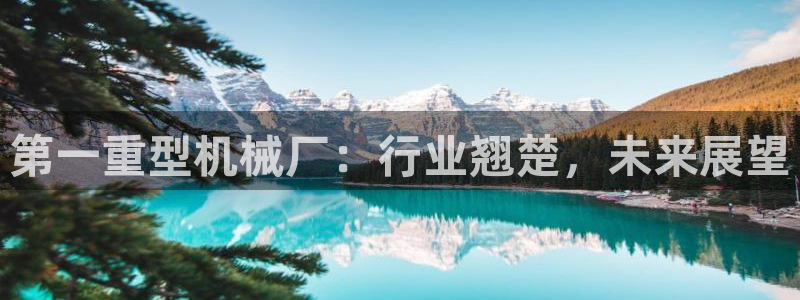 龙八国际娱乐城