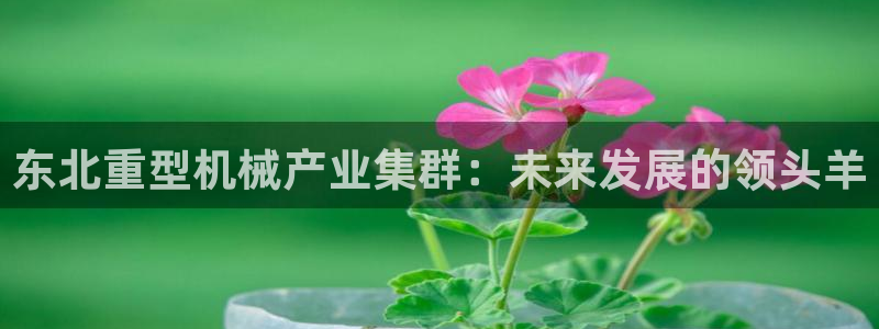 龙八国际娱乐实力如何