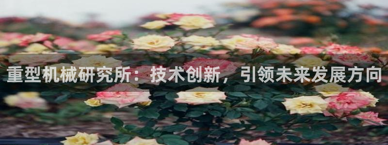 龙八国际服官网入口地址