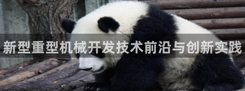 龙八国际娱乐游戏