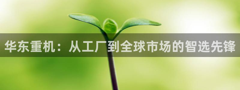 龙八国际APP客户