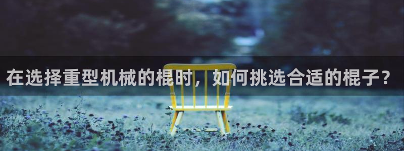 龙八国际不管吗