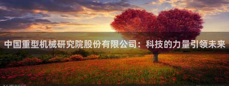 龙八国际APP官方版