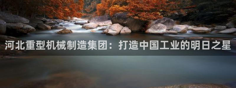 龙八国际是缅甸的吗
