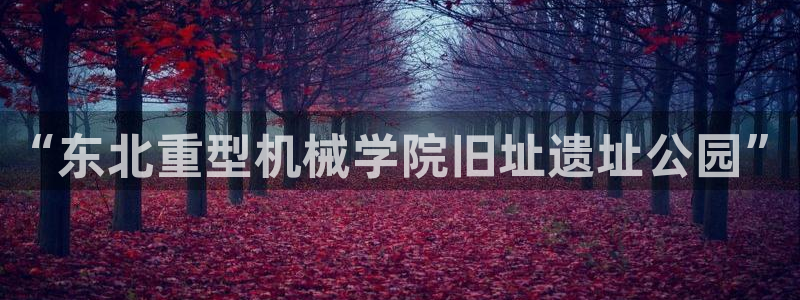 龙八国际网b48点tv