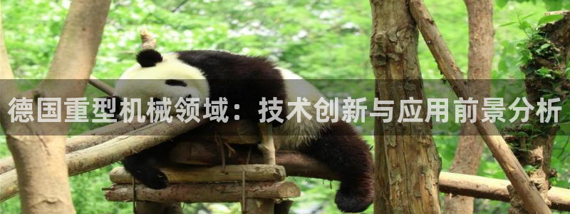 龙八国际有没有假