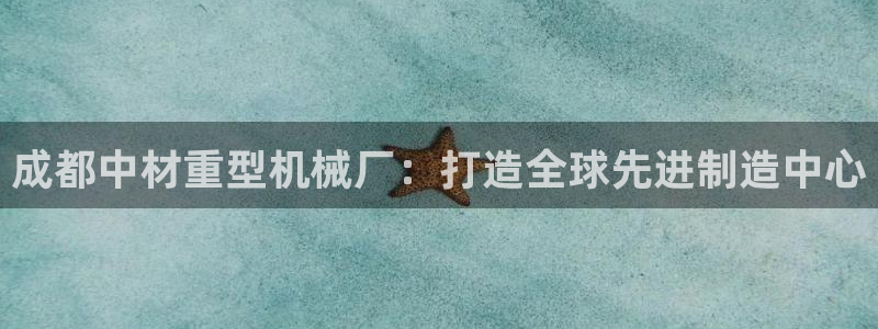 龙八国际是干什么的