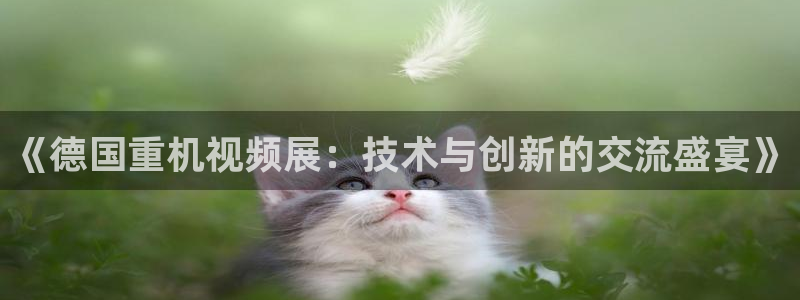 龙八国际app客户端经济区