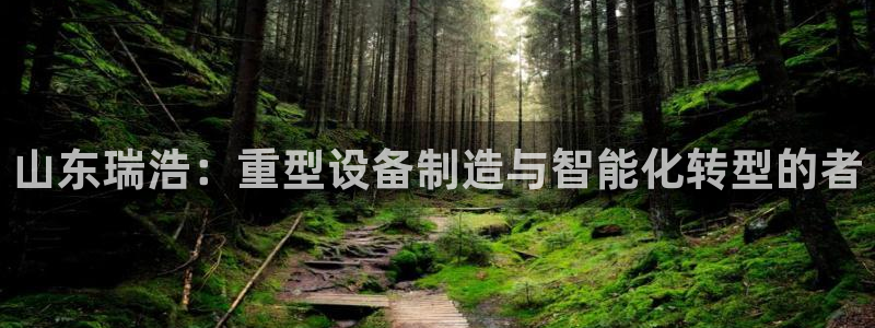 龙八国际网址视讯平台