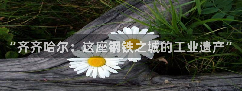 龙八国际网页long123