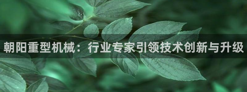 龙八国际代理app