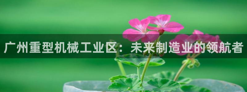 龙八国际网站手机版