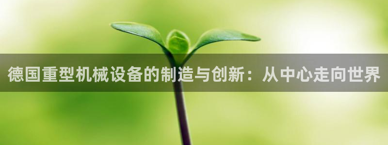 菲律宾龙八国际杀猪
