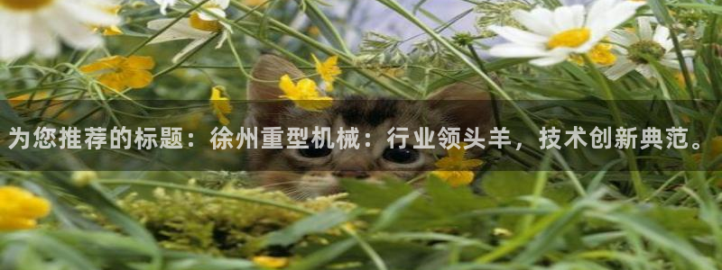 龙八国际网页long8868