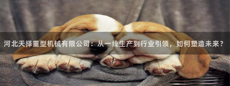 龙八国际下载链接安卓