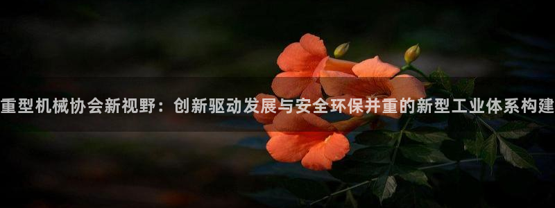 龙八国际跑路了吗