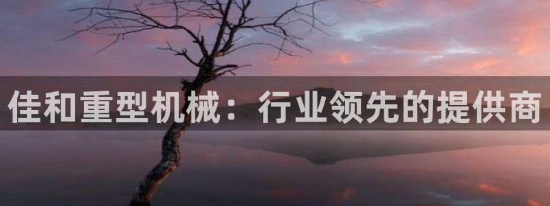 龙八国际官网首页网页版