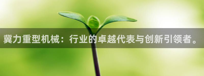 龙八国际跑路了吗