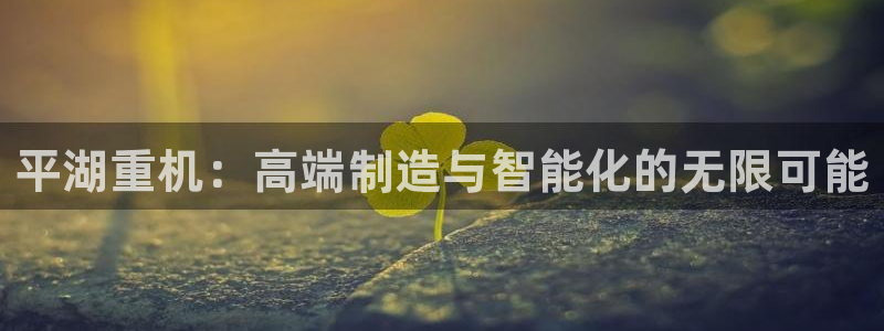 龙八国际网页版