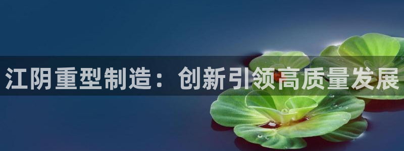 正规龙八国际娱乐