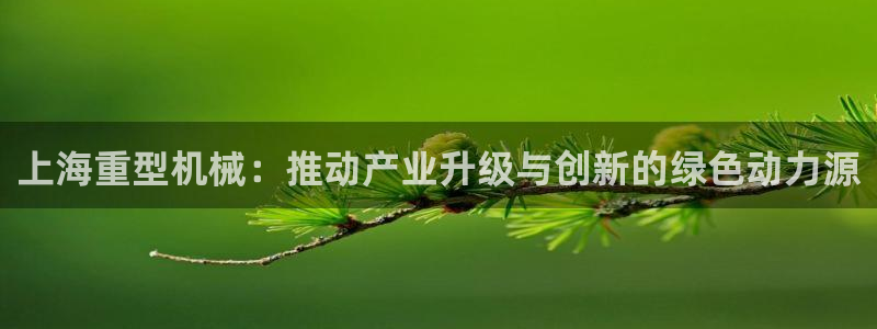 手机版龙八国际