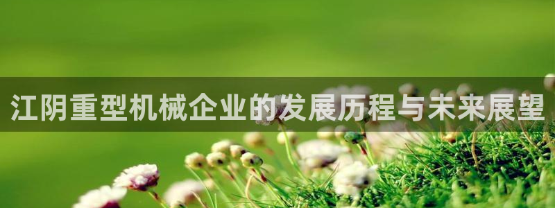 龙八国际手机版下载安装