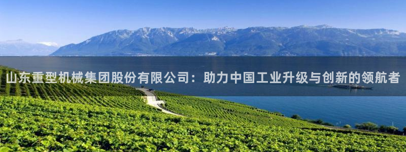 龙八国际选q18点tv