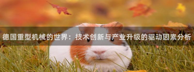 龙八国际app手机版下载安卓