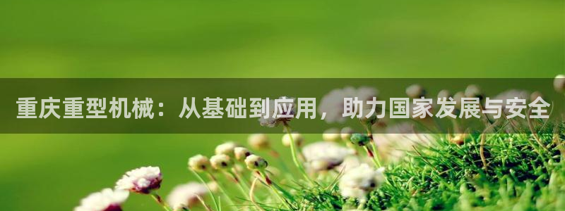 龙八国际服官网站