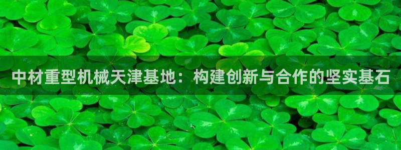 龙八国际平台手机版