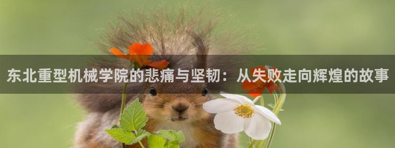 龙八国际娱乐官网多少