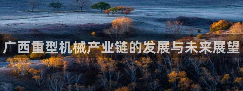 龙八国际娱乐二维码