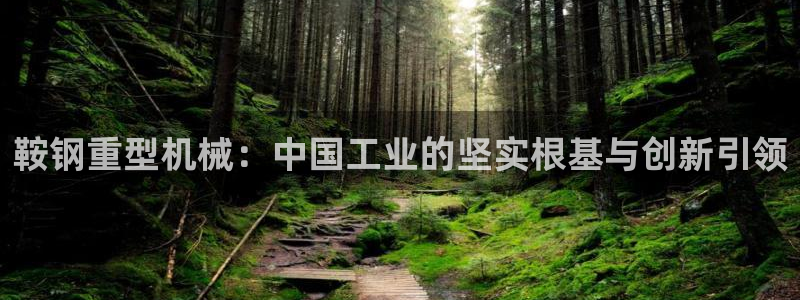 龙八国际是干什么的