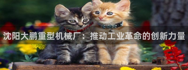 龙八国际官方网站手机版