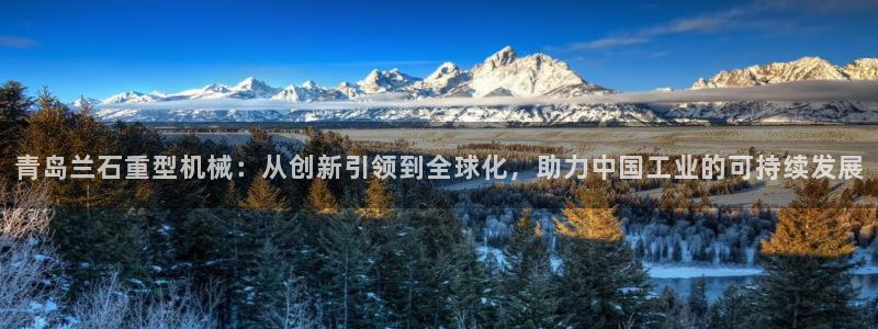 冯文戈 龙八国际集团