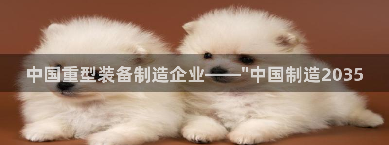 龙八国际这个平台在哪里