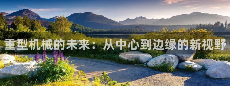 龙八国际官网产品介绍