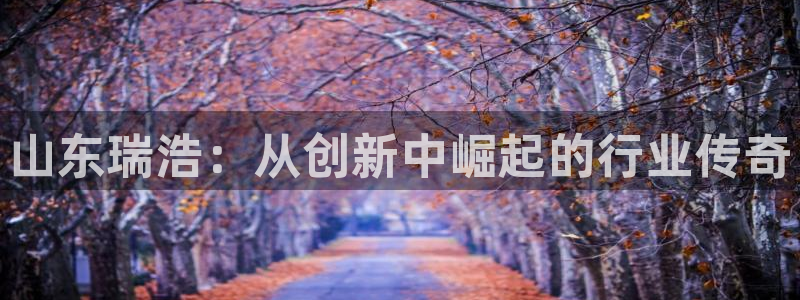 龙八国际手机端