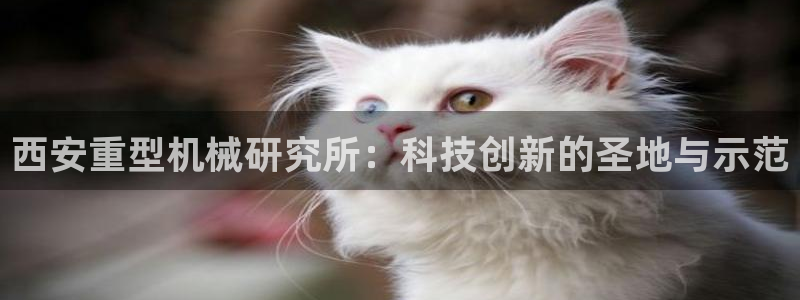 龙八国际网易云音乐