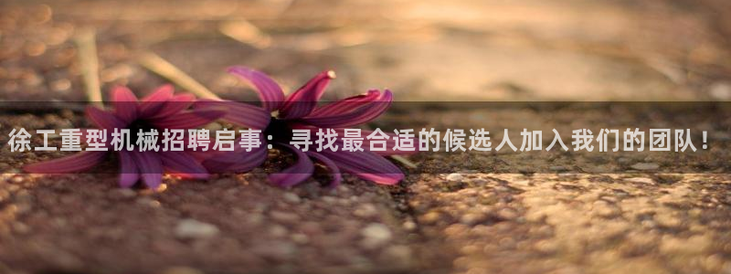 龙八国际pt客户端下载