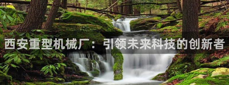 龙八国际娱乐官网多少