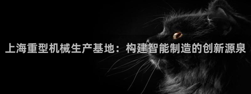 龙八国际手机下载安装