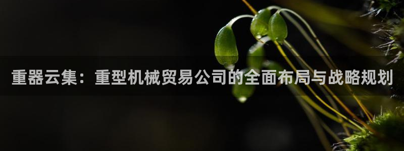 龙八国际可b48点tv