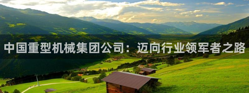 龙八国际彩金购买