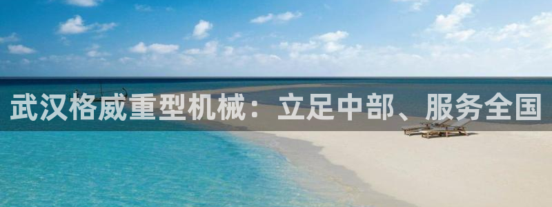 头号玩家龙八国际网址