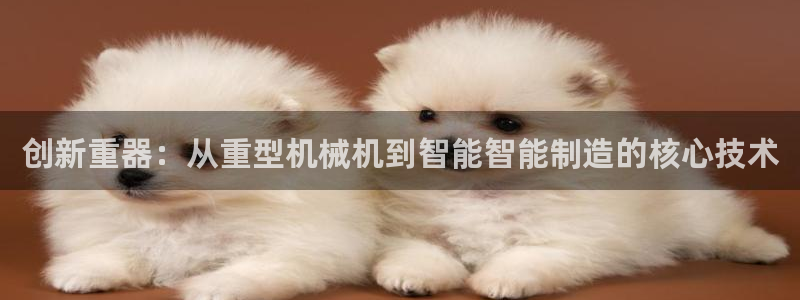 龙八国际客户端下载安卓