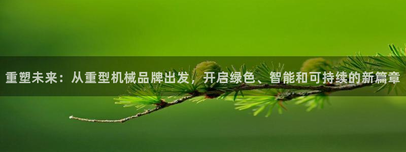 龙八国际什么诈骗