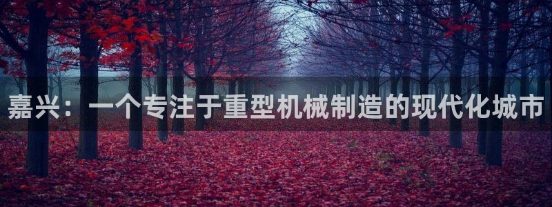 龙八国际游戏下载