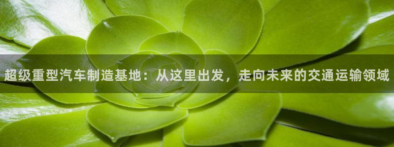 龙八国际娱乐二维码